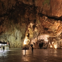 Postojnai-cseppkőbarlang - 14