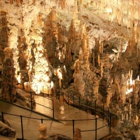 Postojnai-cseppkőbarlang - 11